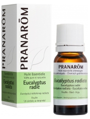 Pranar&ocirc;m Huile Essentielle Eucalyptus Radi&eacute; Eucalyptus Radiata Ssp Radiata Hect 10 ml