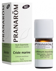 Pranar&ocirc;m Huile Essentielle Criste Marine Bio Crithmum Maritimum Sommit&eacute; Fleurie 5 Ml...