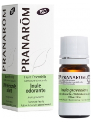 Pranar&ocirc;m Huile Essentielle Inule Odorante Bio (Eco) Inula Graveolens Sommit&eacute; Fleurie Hect 5 ml