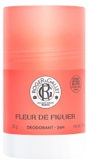 Roger & Gallet Fleur de Figuier D&eacute;odorant 24H 50 Grammes