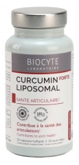 Biocyte Longevity Curcumin Liposomal Forte Sant&eacute; Articulaire 30 G&eacute;lules
