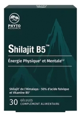 Phytoresearch Shilajit B5 &Eacute;nergie Physique et Mentale 30 G&eacute;lules