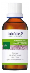 Ladr&ocirc;me Extrait de Plante Fra&icirc;che Epilobe (Epilobium Angustifolium) Bio 50 ml