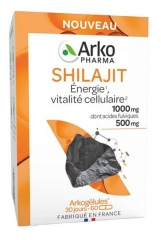 Arkopharma Arkog&eacute;lules Shilajit 30 Jours 60 G&eacute;lules