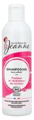 Les couleurs de Jeanne Shampoing Cheveux Color&eacute;s 230 ml