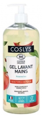 Coslys Gel Lavant Mains Pomme Tous Types de Peaux Bio 1 L
