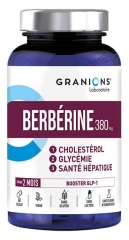 Granions Berb&eacute;rine 380 mg Booster GLP-1 60 G&eacute;lules