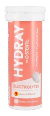 Stentil HYDRAY &Eacute;lectrolytes Solution d'Hydratation 10 Pastilles