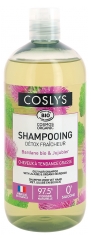 Coslys Shampoing D&eacute;tox Fra&icirc;cheur Cheveux &agrave; Tendance Grasse Bio 500 ml