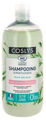 Coslys Shampoing Dermatologique Cuir Chevelu Sensible Bio 500 ml
