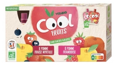 Vitabio Cool Fruits Gourdes Multiparfums 2 Recettes Bio 12 x 90 g