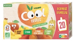 Vitabio Cool Fruits Gourdes Multiparfums 4 Recettes Bio 20 x 90 g