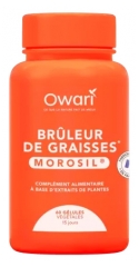Owari Br&ucirc;leur de Graisses Morosil 60 Unit&eacute;s