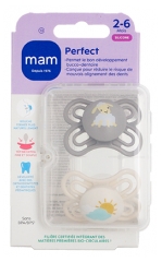 Sucettes B&eacute;b&eacute; MAM Perfect 2-6 Mois - Lot de 2