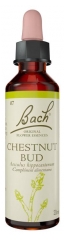 Complexe de Fleurs de Bach Original Chestnut Bud : 20 ml