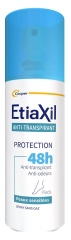 Vichy D&eacute;odorant Anti-Transpirant 48H Pieds 100 ml