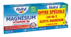 Alvityl Magn&eacute;sium + Vitamine B6 - Lib&eacute;ration Prolong&eacute;e - 90 Jours