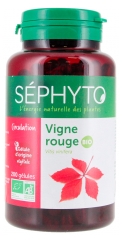 S&eacute;phyto Circulation Vigne Rouge Vitis Vinifera Bio 200 G&eacute;lules