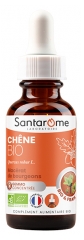 Santarome Ch&ecirc;ne Bio - Mac&eacute;rats de Bourgeons - &Eacute;nergie & Vitalit&eacute; - Flacon de 30 ml