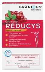 Granions R&eacute;ducys 30 G&eacute;lules
