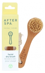 Afterspa Brosse S&egrave;che Visage