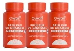 Owari Br&ucirc;leur de Graisses Morosil 3 x 60 G&eacute;lules V&eacute;g&eacute;tales