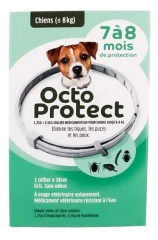 OctoProtect Collier Chiens de Moins de 8 kg