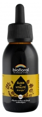 &Eacute;lixir &Eacute;nerg&eacute;tique Biofloral Vitalit&eacute; et Dynamisme 100 ml