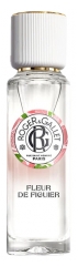 Roger & Gallet Fleur de Figuier Eau Parfum&eacute;e Bienfaisante 30 ml