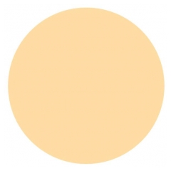 La Roche-Posay Toleriane Teint Fond de Teint Mousse Matifiante SPF 20 - Teinte : 2.5 Sable