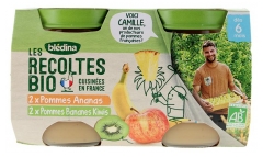 Pur&eacute;e de fruits bio pour b&eacute;b&eacute; : Pommes, Ananas, Bananes et Kiwis - 4 pots