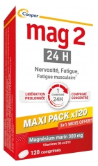Mag 2 24H Maxi Pack x120