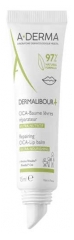 A-DERMA Dermalibour+ CICA - Baume R&eacute;parateur L&egrave;vres Irrit&eacute;es et Gerc&eacute;es 15 ml
