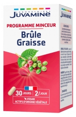 Juvamine Br&ucirc;le Graisse 60 Unit&eacute;s