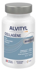 Alvityl Assimyl+ Collag&egrave;ne Peau Articulations Muscles 60 G&eacute;lules