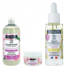 Coslys Routine R&eacute;paration Cheveux Secs