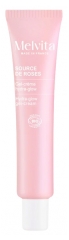 Melvita Source de Roses Gel-Cr&egrave;me &Eacute;clat Ros&eacute; Hydra Glow Bio 40 ml
