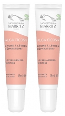 Laboratoires de Biarritz Baume &agrave; L&egrave;vres R&eacute;parateur Bio Lot de 2 x 15 ml