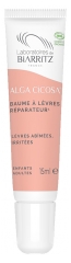 Laboratoires de Biarritz Baume &agrave; L&egrave;vres R&eacute;parateur L&egrave;vres Ab&icirc;m&eacute;es Irrit&eacute;es Bio 15 ml