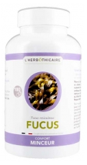 L'Herb&ocirc;thicaire Poudre Fucus 180 G&eacute;lules