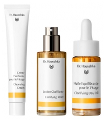 Dr. Hauschka Routine Puret&eacute; Anti-Imperfections