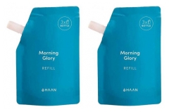 Haan D&eacute;sinfectant hydroalcoolique pour mains Morning Glory Recharge Lot de 2 x 100 ml