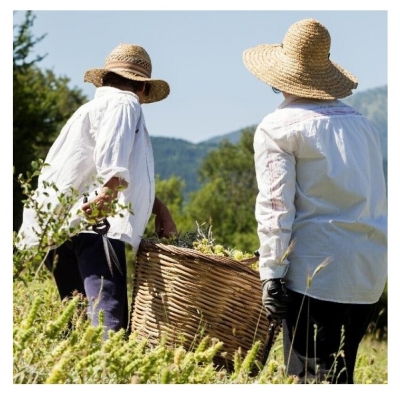 Korres Lingettes Nettoyantes Détoxifiantes Biodégradables 30 Lingettes