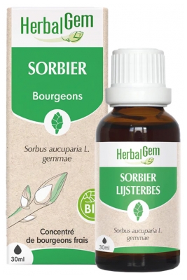HerbalGem Sorbier Bio Macérats-Mères de Gemmothérapie Concentrée 30 ml