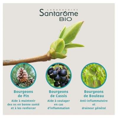Santarome Confort Articulaire