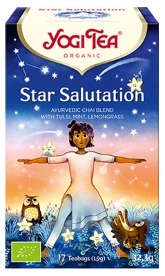 Yogi Tea Star Salutation