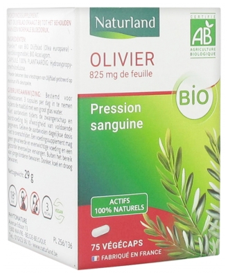 Complément Alimentaire à base d'extrait de feuille d'olivier biologique en Végécaps - 75 capsules végétales