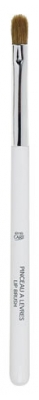 Eye Care Cosmetics Pinceau Lèvres