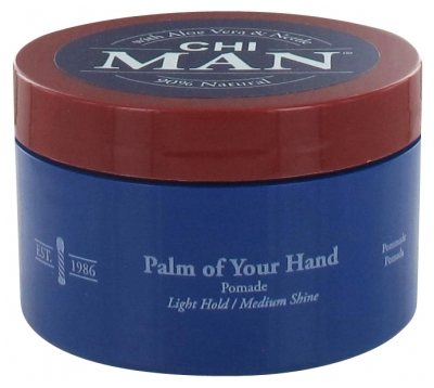 Pommade coiffante à la fixation longue durée pour hommes de 85 g