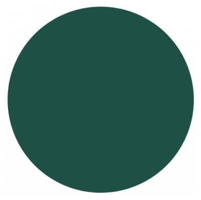 Eye Care Cosmetics Eyeliner Liquide Brun - Teinte : 306 : Vert